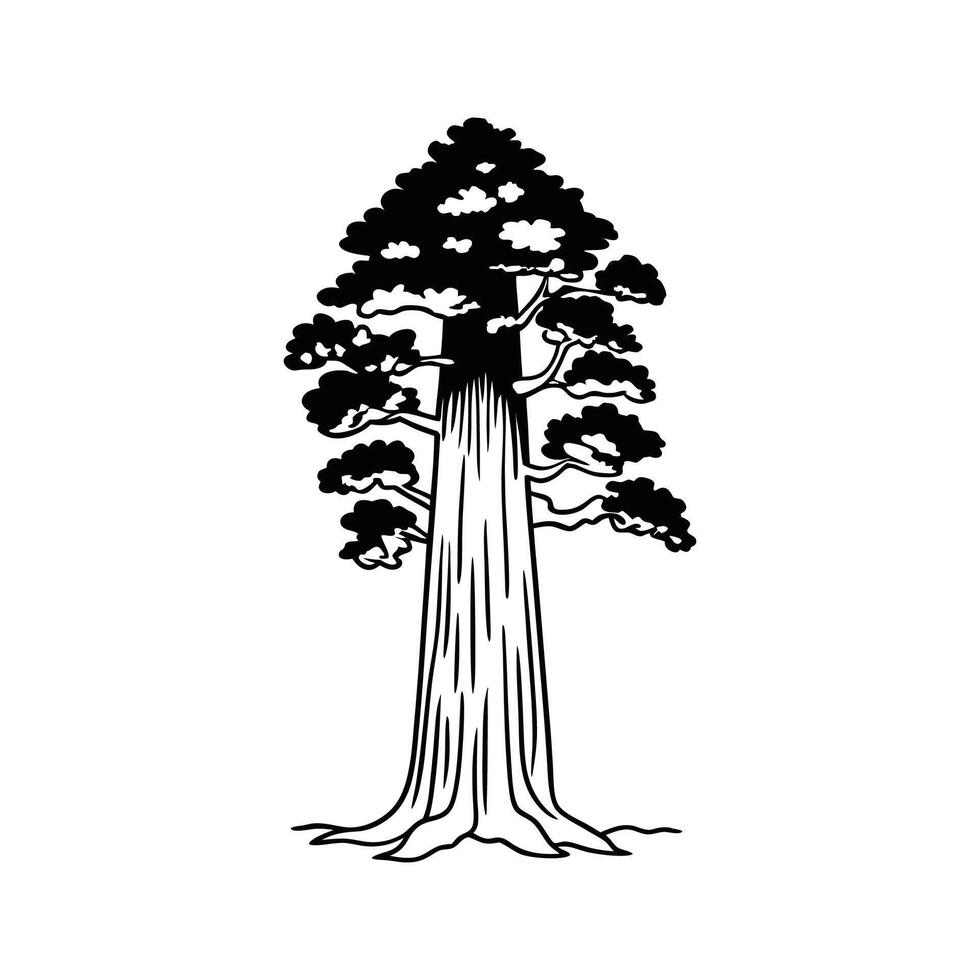 Elegant Giant Sequoia Tree Design Outline vector