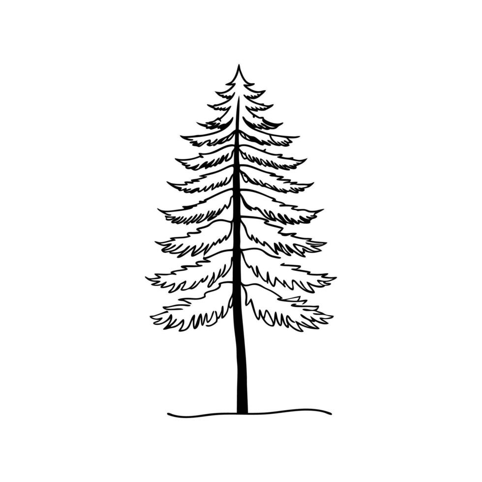 Artistic Outline of Golden Larch Tree vector