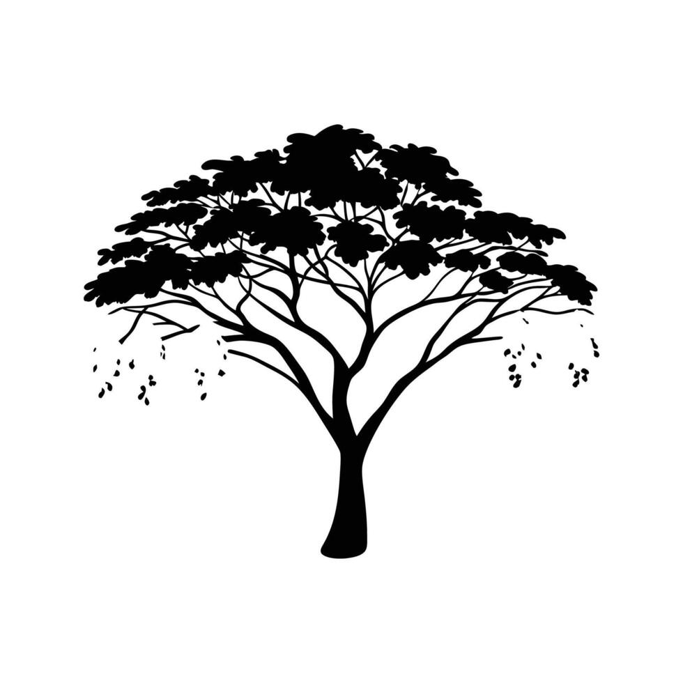 Artistic Outline of Golden Rain Tree vector