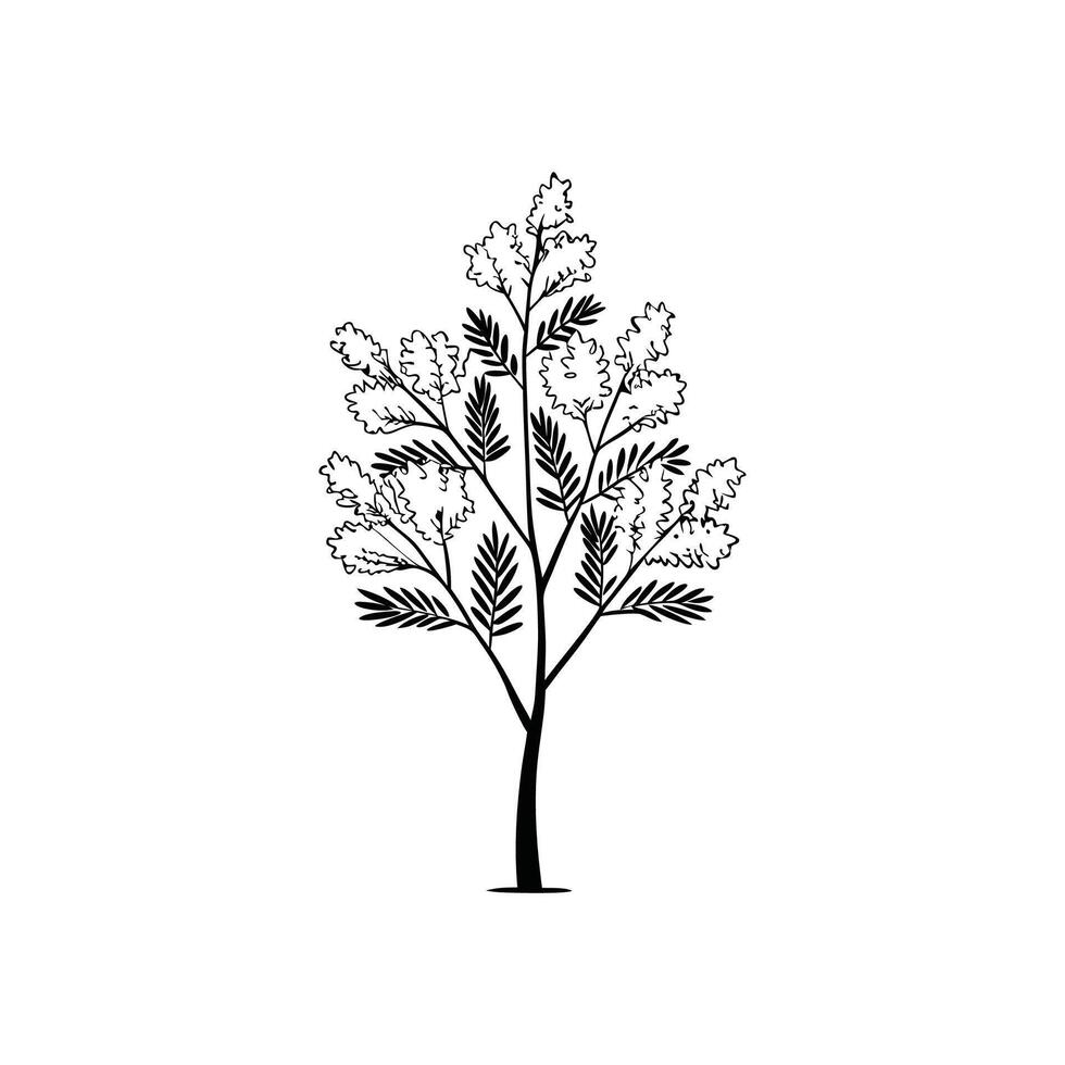 Golden Wattle Tree Bold Outline Unique Design vector