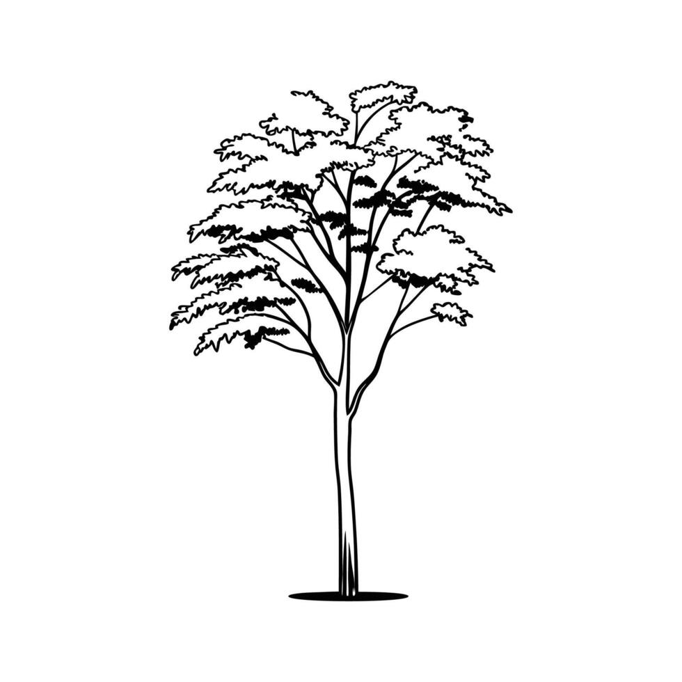 Himalayan Birch Tree Bold Outline Unique Design vector
