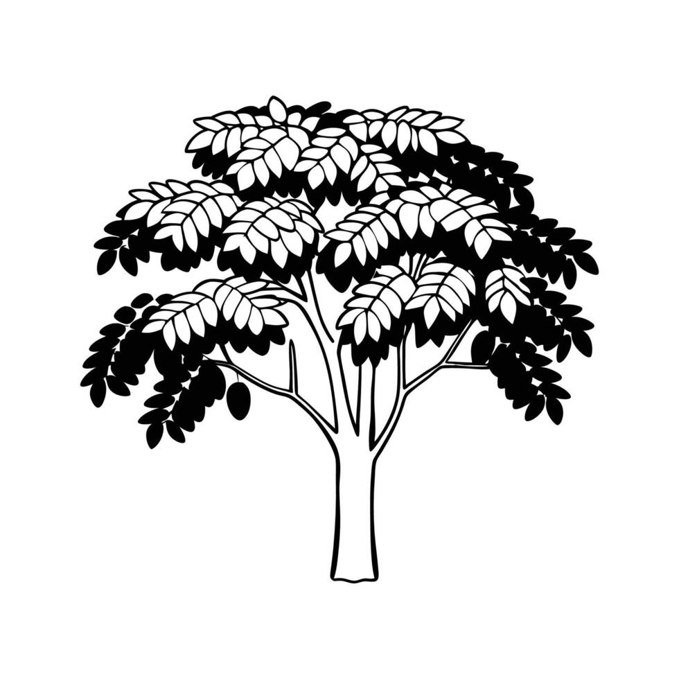 Indian Kino Tree Bold Outline Unique Design vector