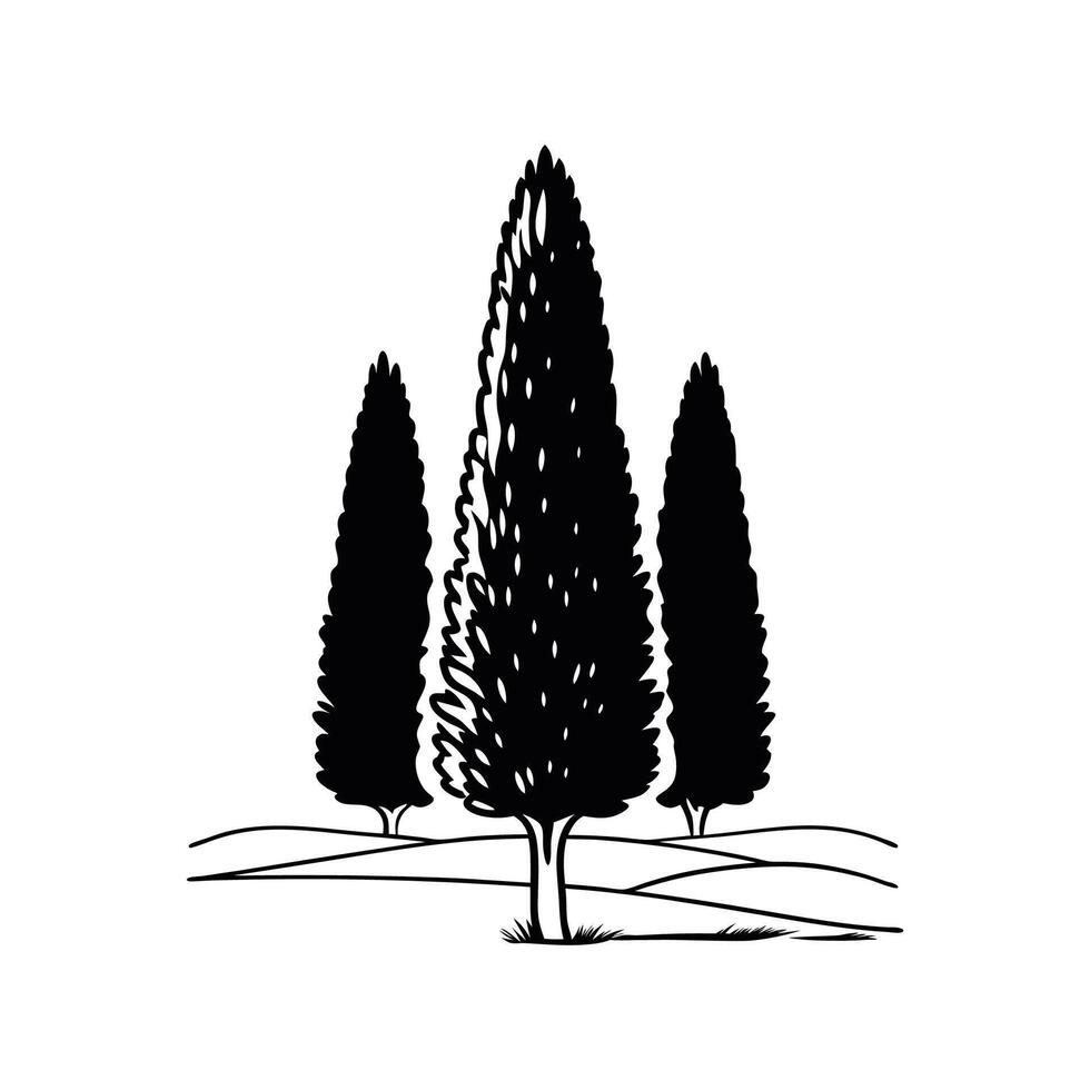 Italian Cypress Tree Bold Outline Unique Design vector