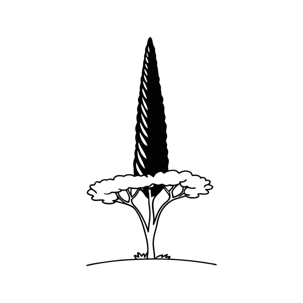 Elegant Italian Cypress Tree Design Outline vector