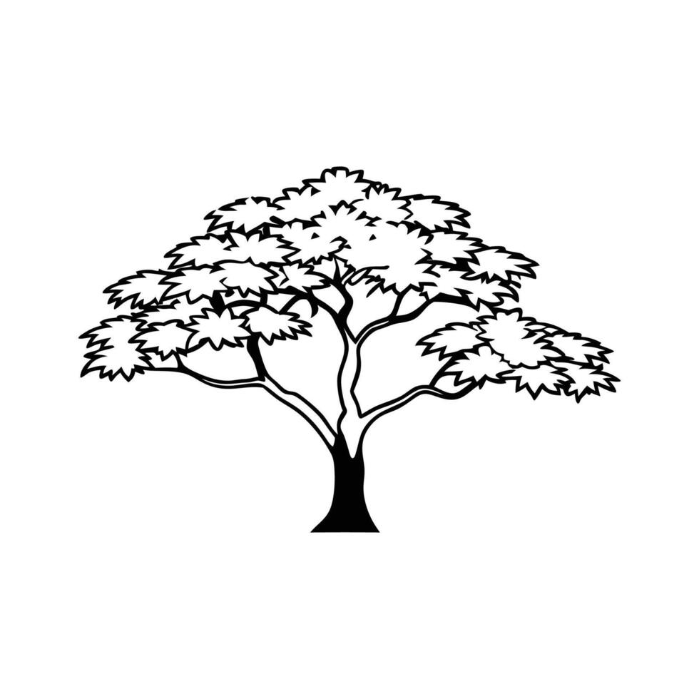 Artistic Outline of Japanese Maple Tree vector