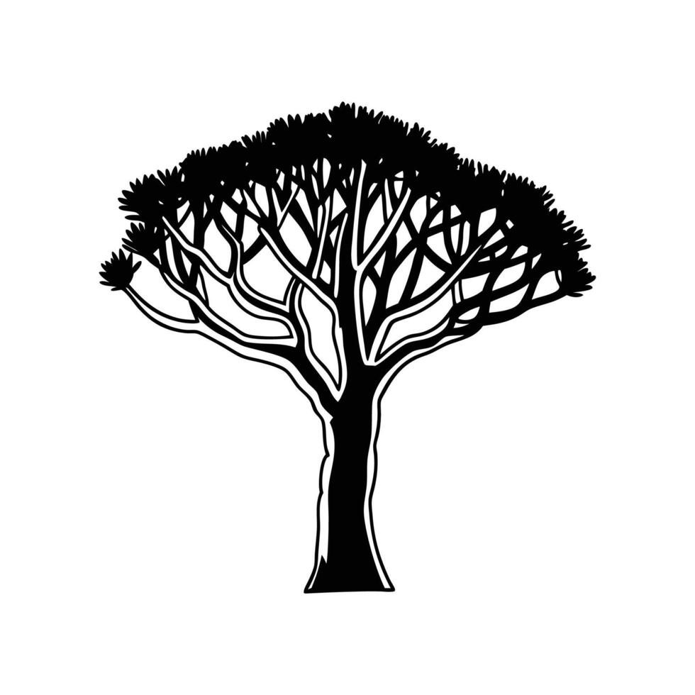 Stylish Kaffirboom Coral Tree Illustration vector