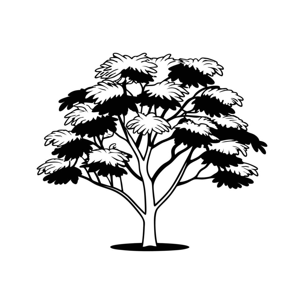Stylish Kentucky Coffee Tree Illustration vector