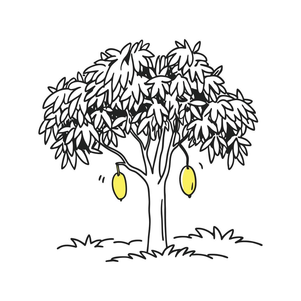 Unique Outline Design of Mango Tree vector