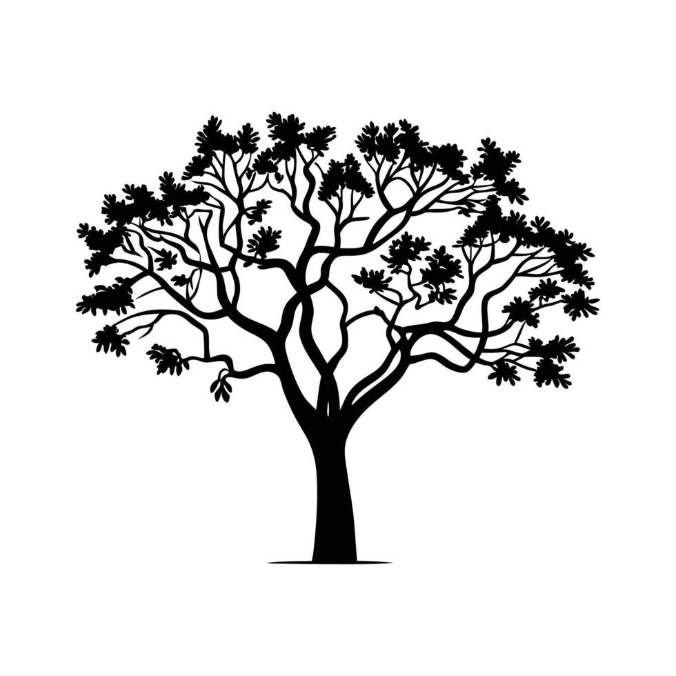 Mesquite Tree Bold Outline Creative Illustration vector