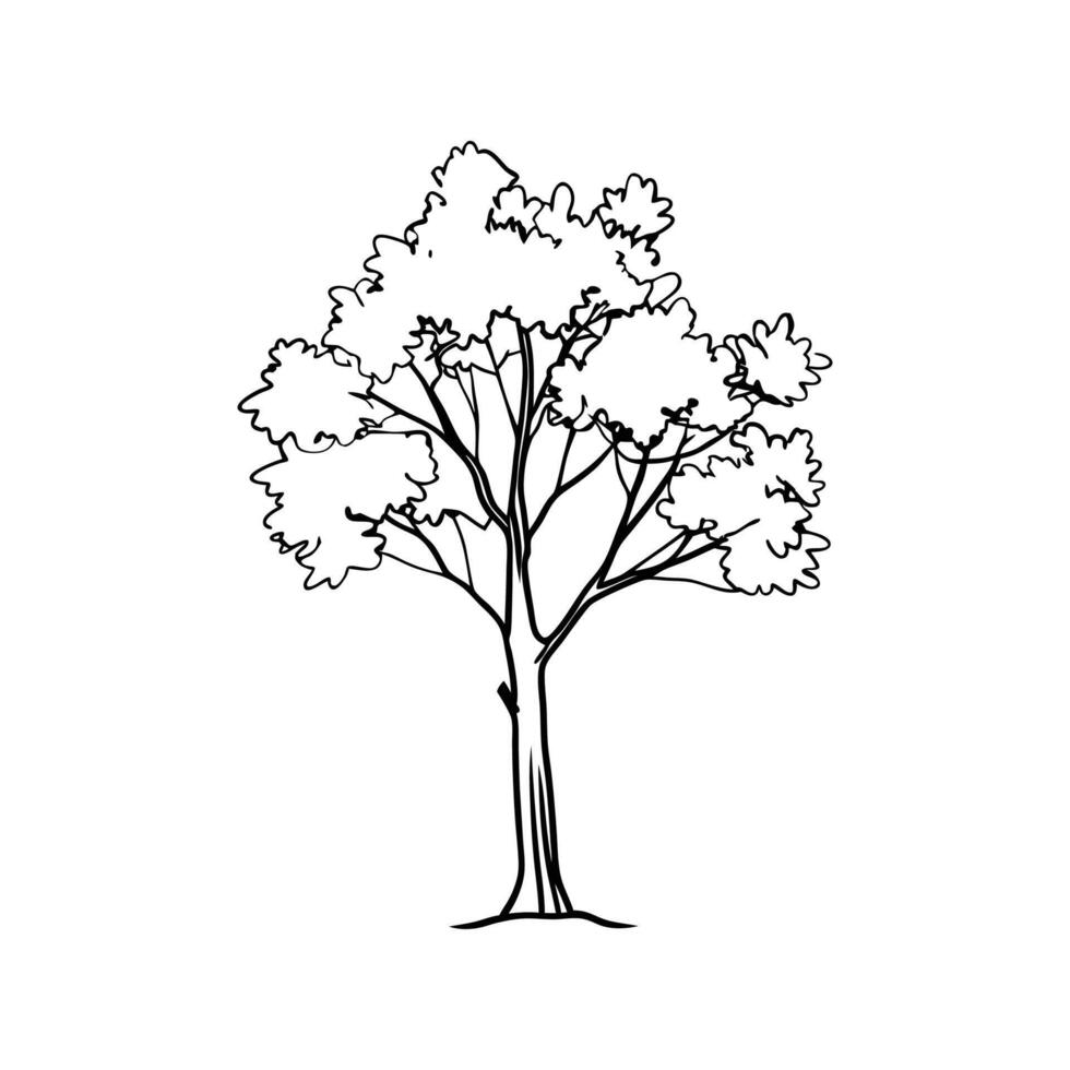 Creative Outline of Maple Tree Art vector