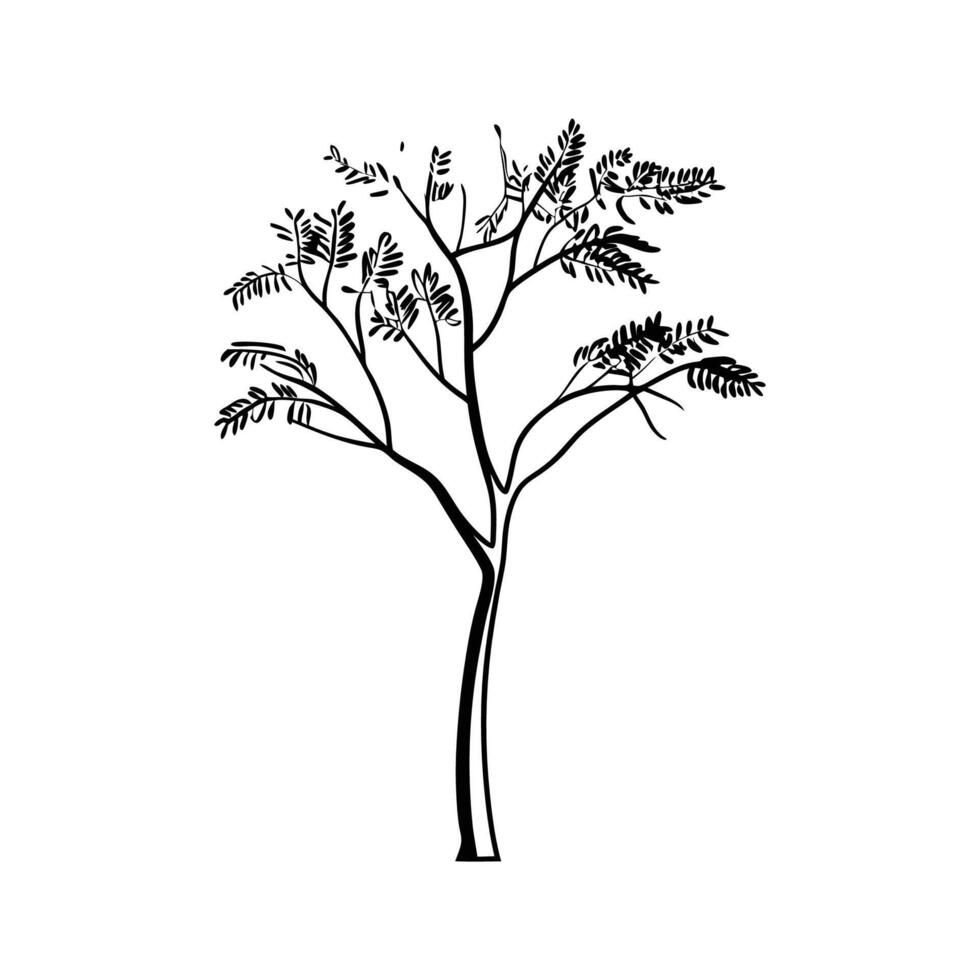 Unique Outline of Mesquite Tree Design vector