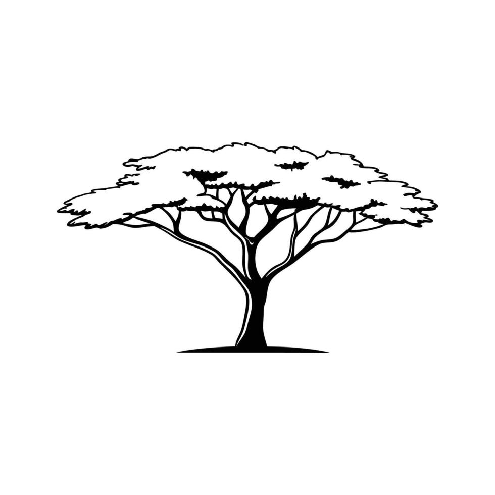 Monkeypod Tree Bold Outline Art vector