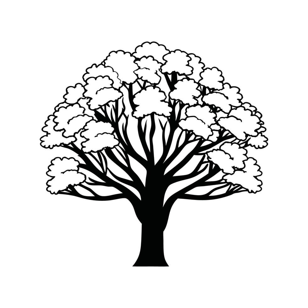 Unique Bold Outline of Norway Maple vector