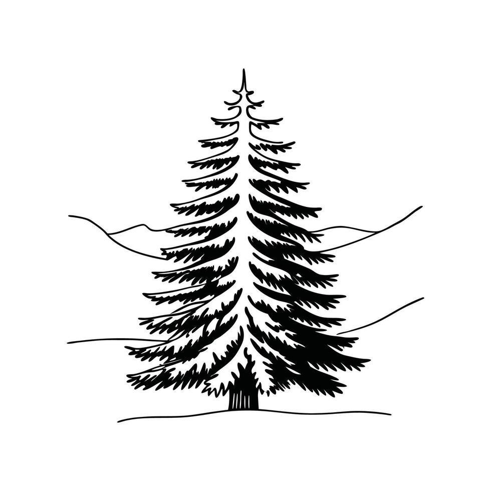 Stylized Outline of Norway Spruce Tree vector