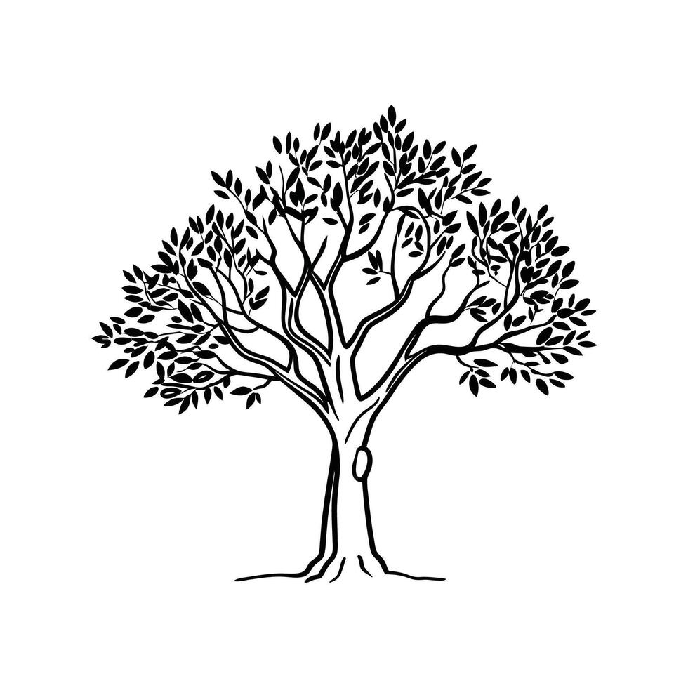 Creative Outline of Olive Tree Art vector