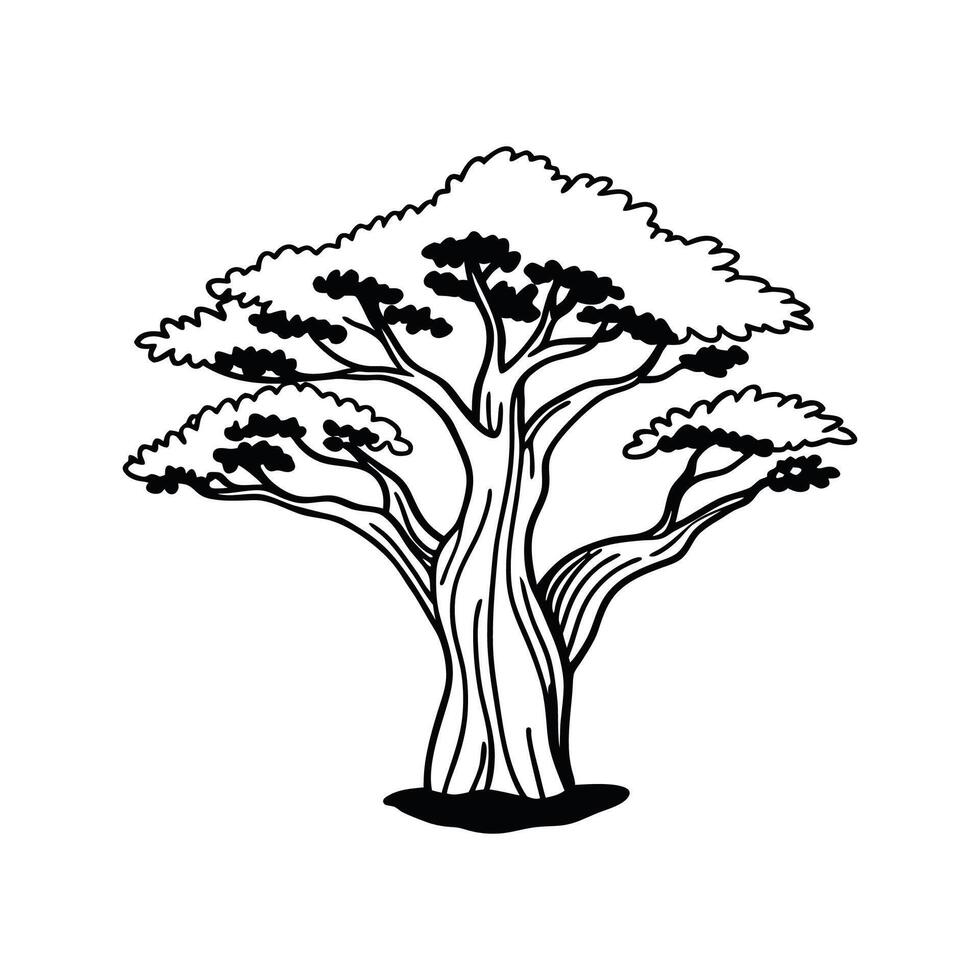 Stylized Outline of Paperbark Maple Tree vector