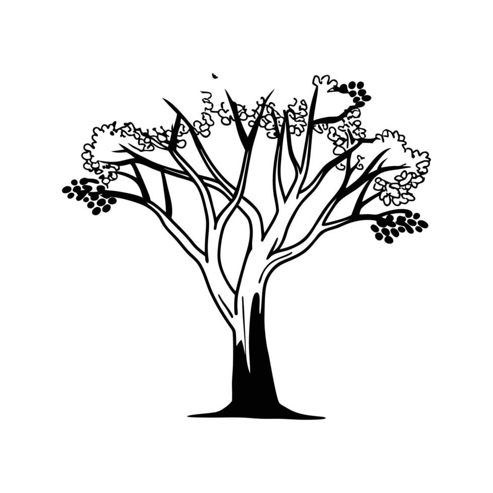 Stylized Outline of Paperbark Cherry Tree vector