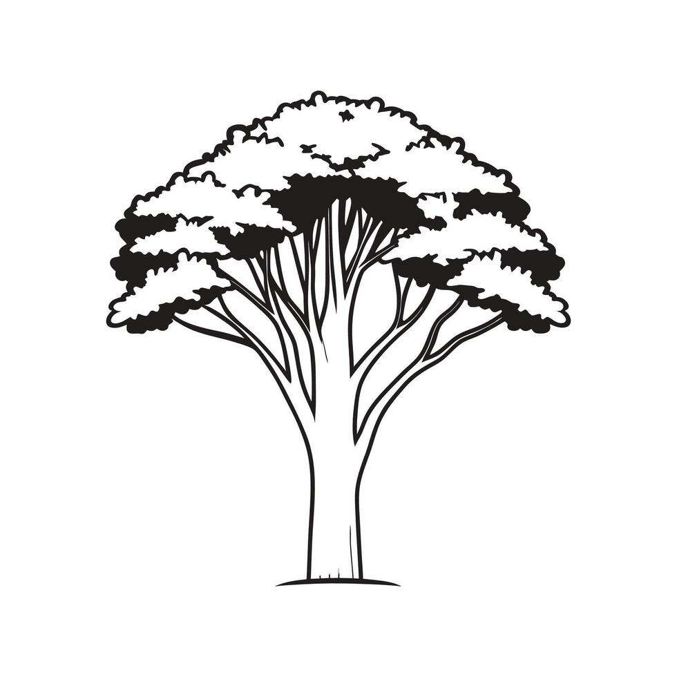 Unique Outline of Paperbark Maple Tree vector