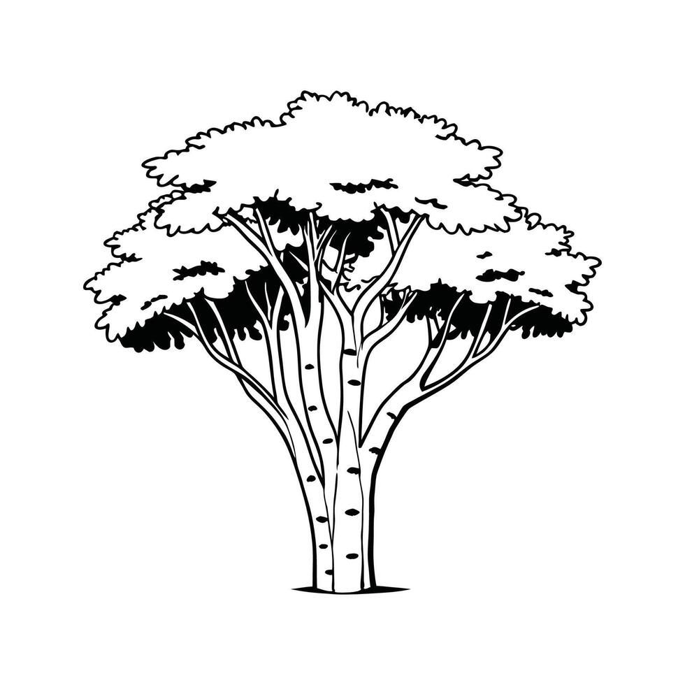 Unique Outline of Paper Birch Tree vector