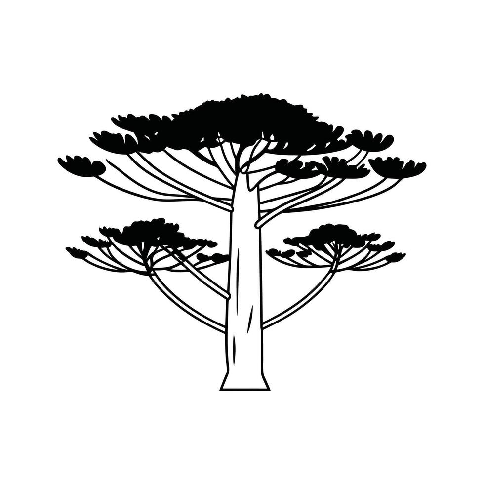 Stylized Outline of Parana Pine Tree vector