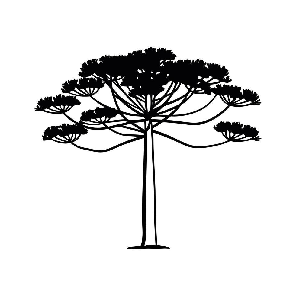 Creative Design of Parana Pine Tree vector