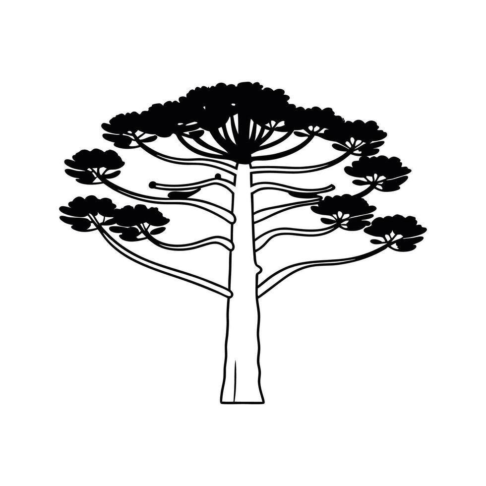 Parana Pine Tree Bold Outline Design vector