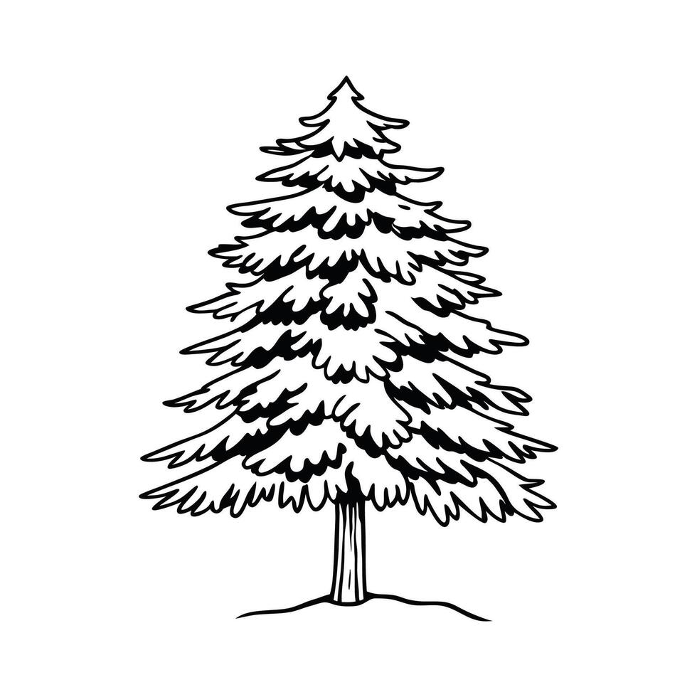 Unique Outline of Pine Tree Art vector