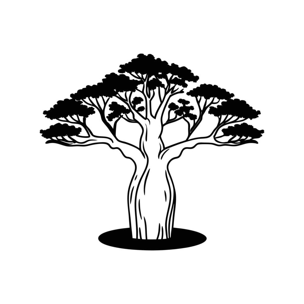 Unique Outline of African Baobab Bonsai Tree vector