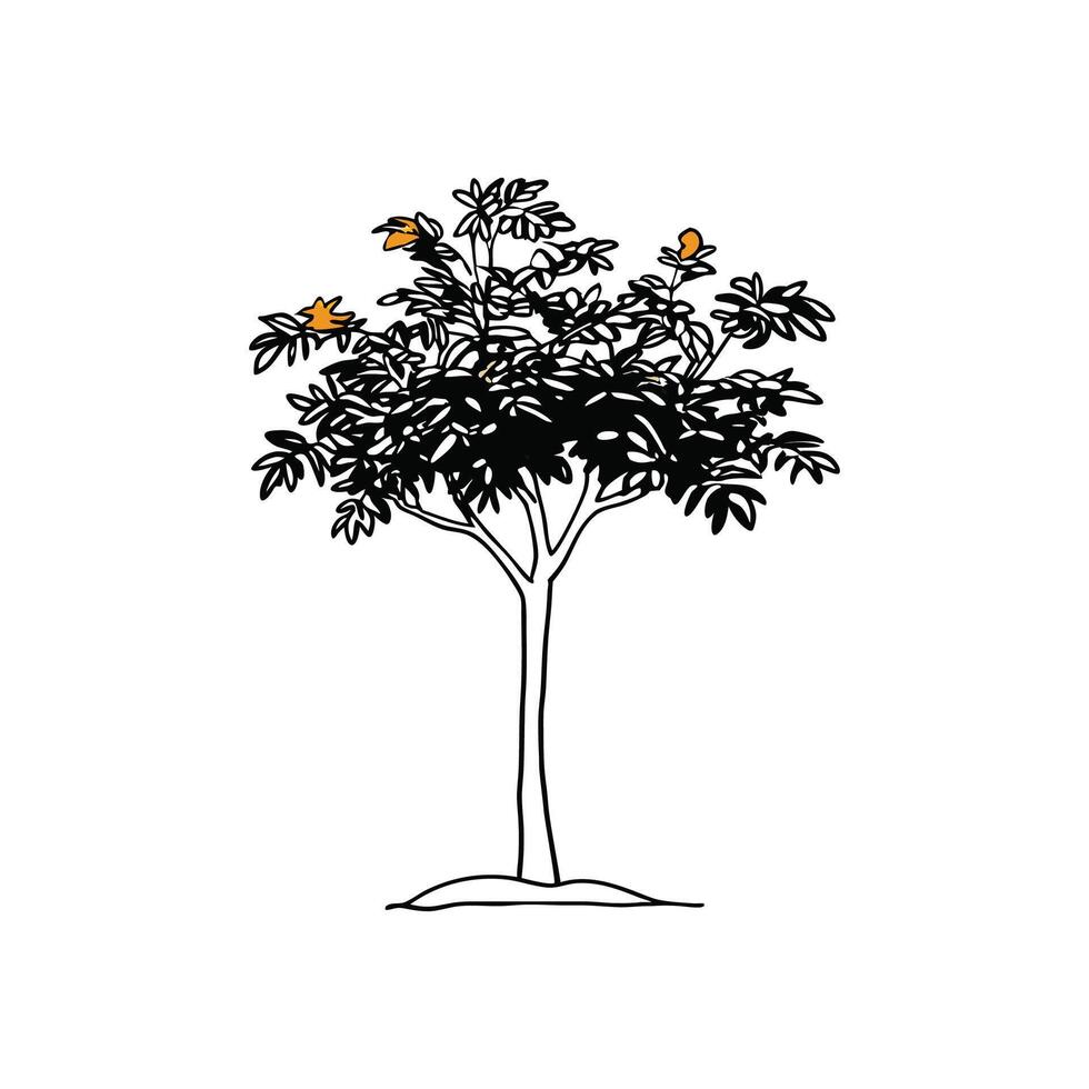 Unique Outline of African Tulip Tree. vector