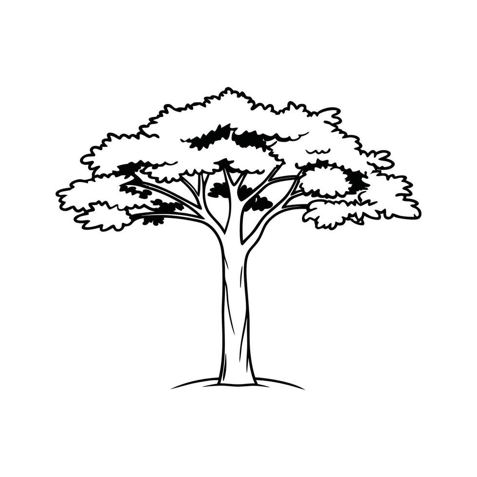 Creative Design of American Beech Tree vector