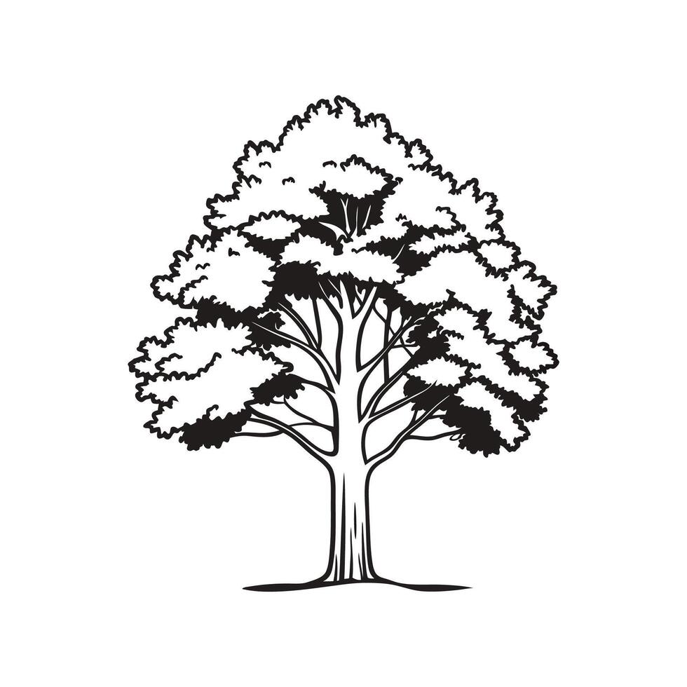 Bold Outline of American Linden Tree Art vector