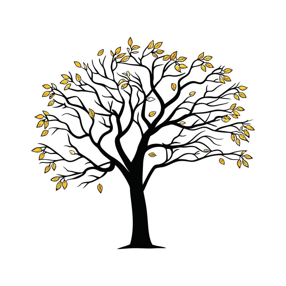 Stylized Outline of American Persimmon Tree vector
