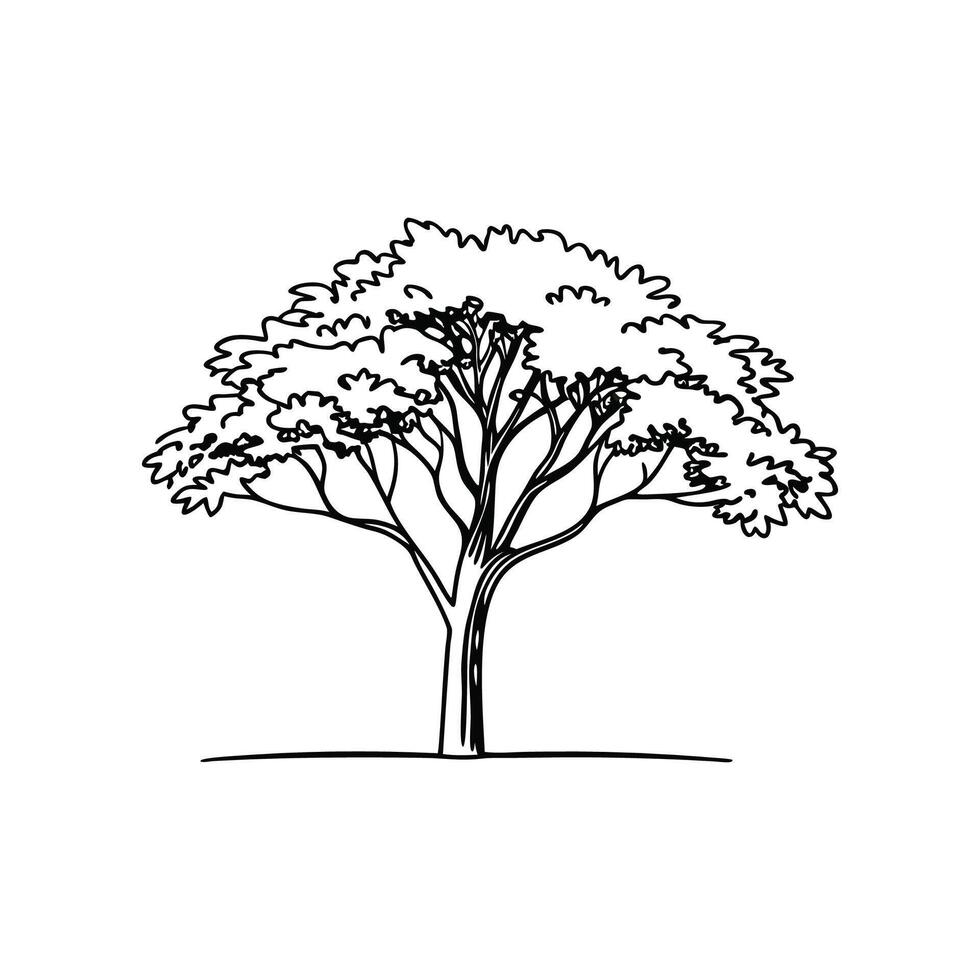 Stylized Arizona Ash Tree Outline Art vector