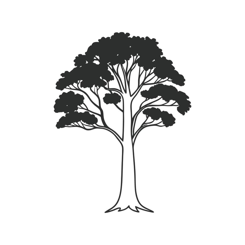 Unique Outline of Australian Blackwood Tree vector