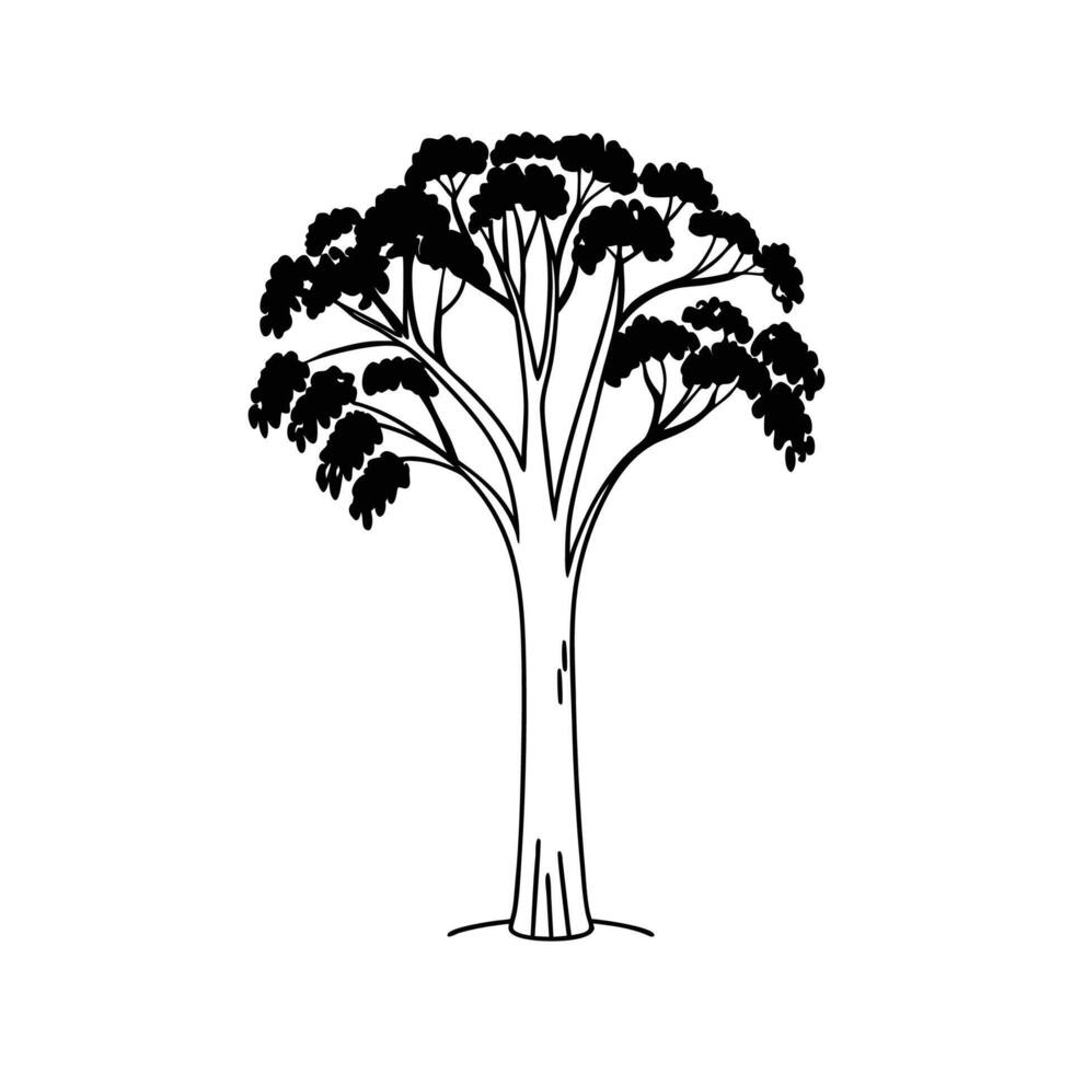 Stylized Outline of Blue Gum Eucalyptus vector