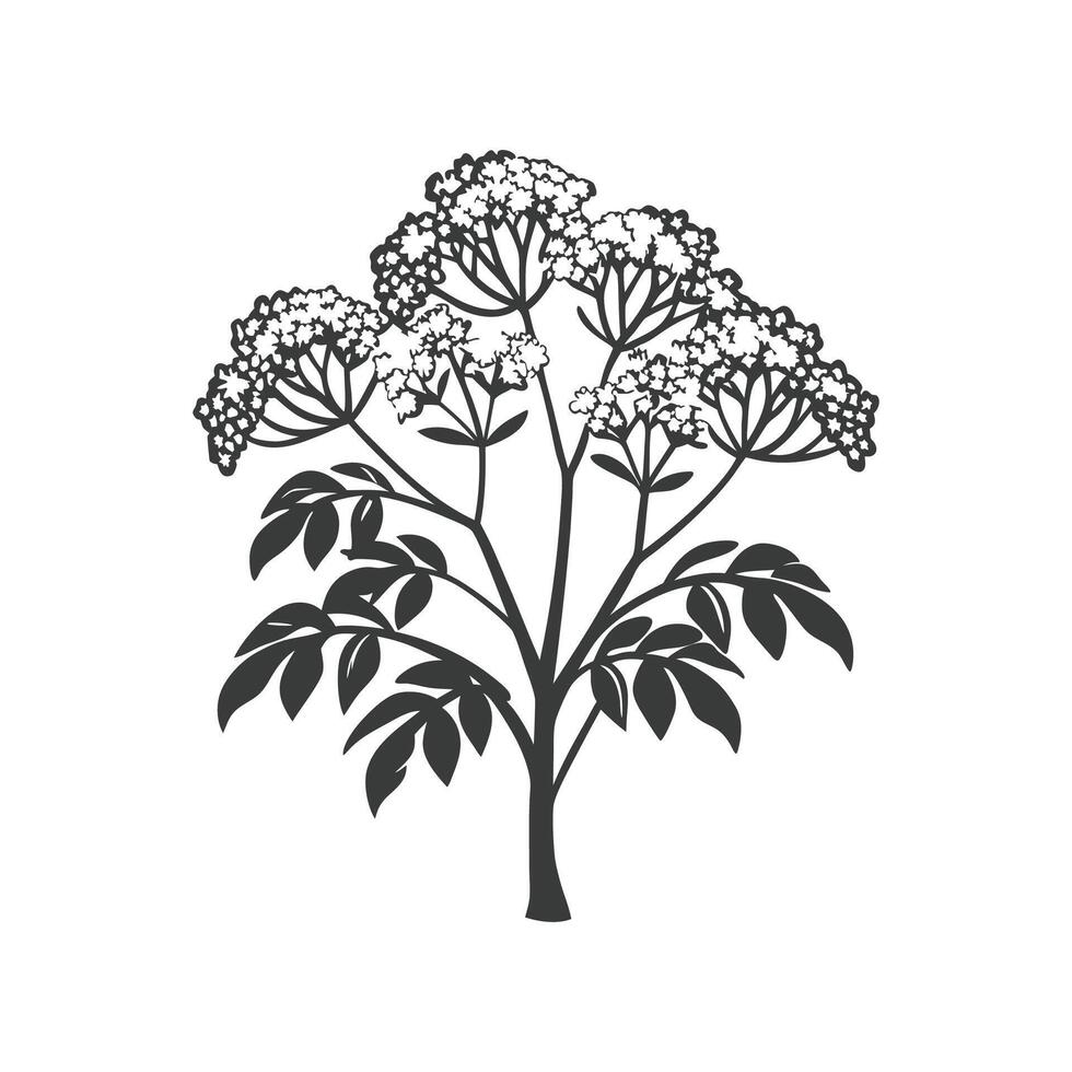 Creative Design of Blue Elderberry Tree vector