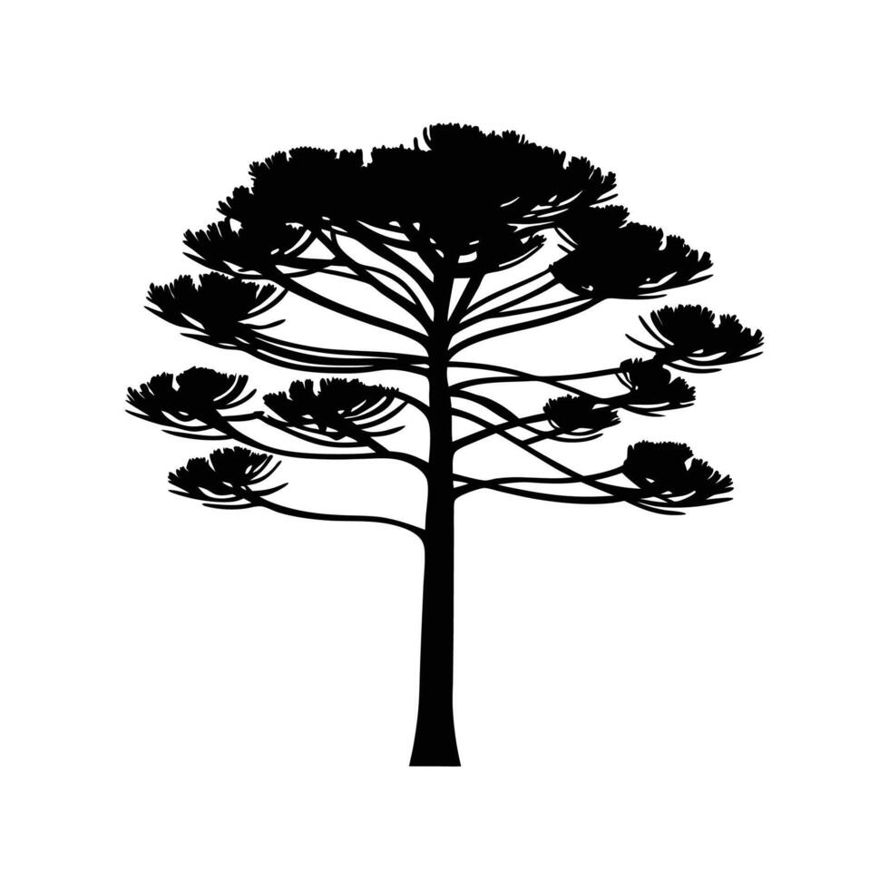 Stylized Outline of Brazilian Pine Tree vector