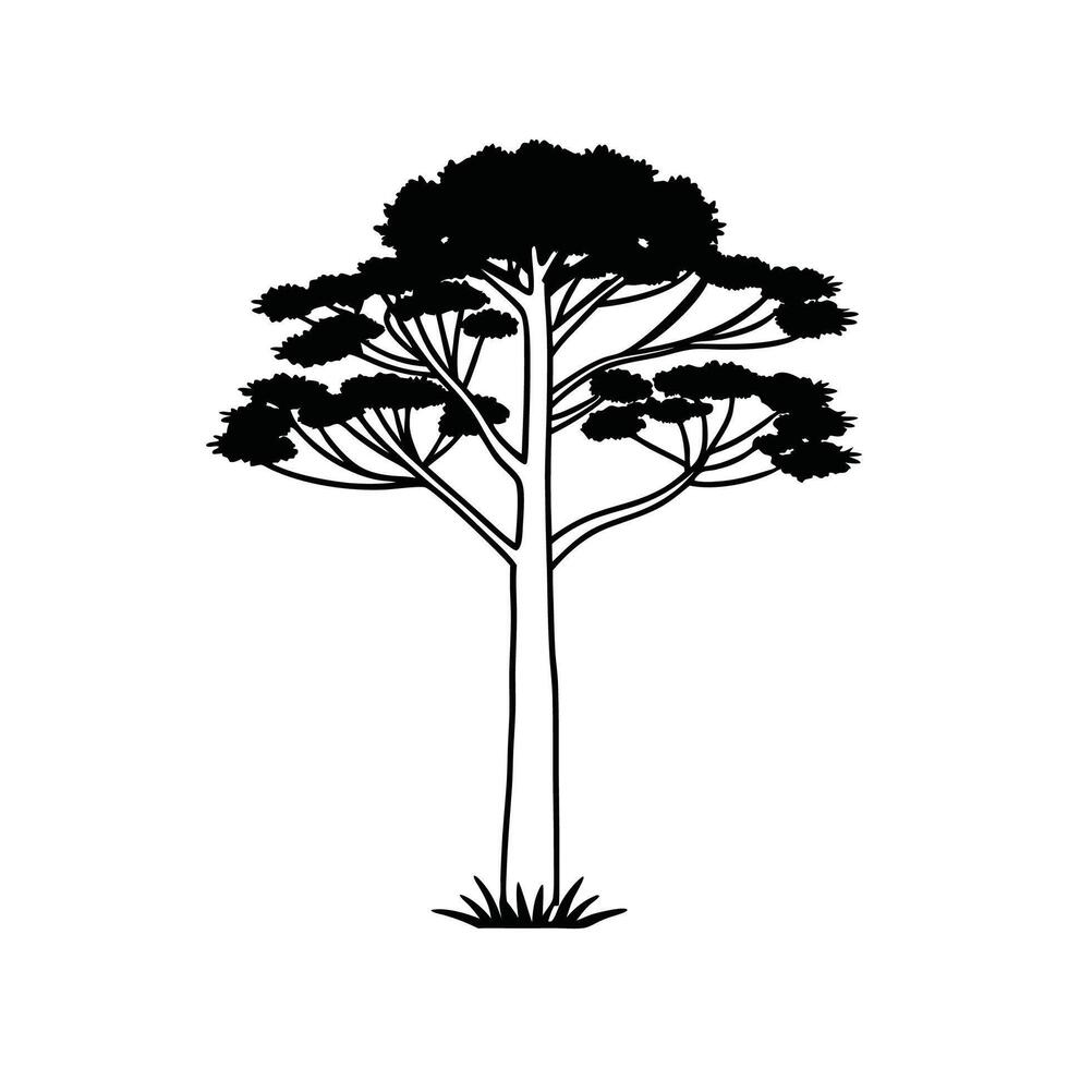 Bold Outline of Brazilian Pine Tree Design vector