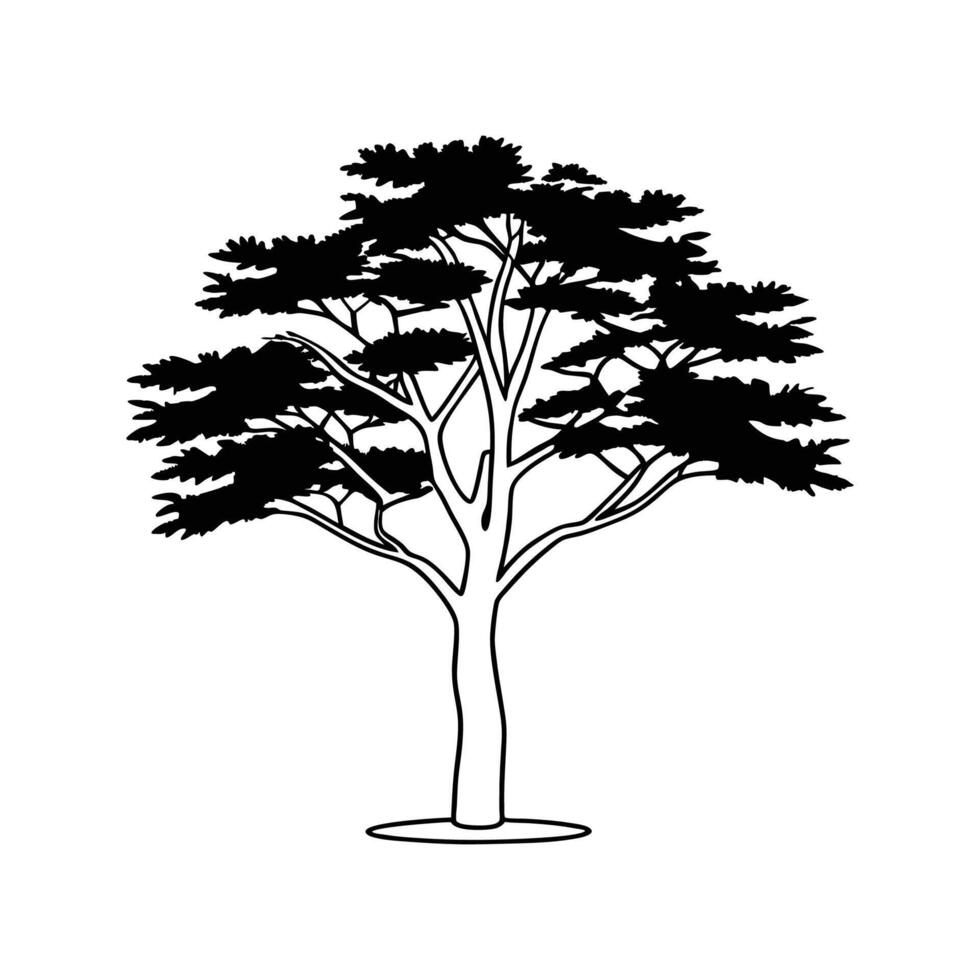 Stylized Brazilian Pine Tree Outline vector