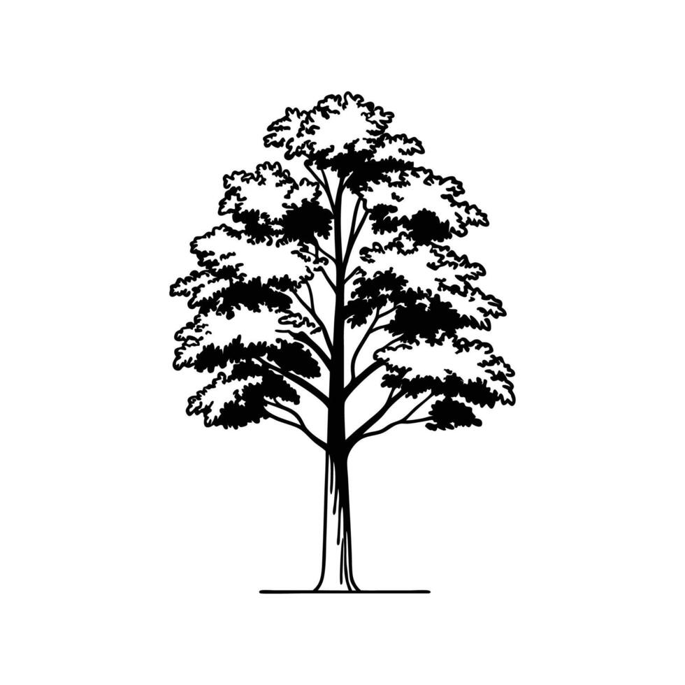 Butternut Hickory Tree Bold Outline Design vector