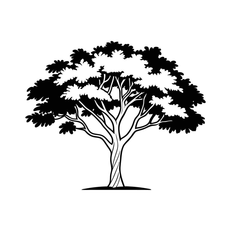 Creative Design of Burmese Padauk Tree vector