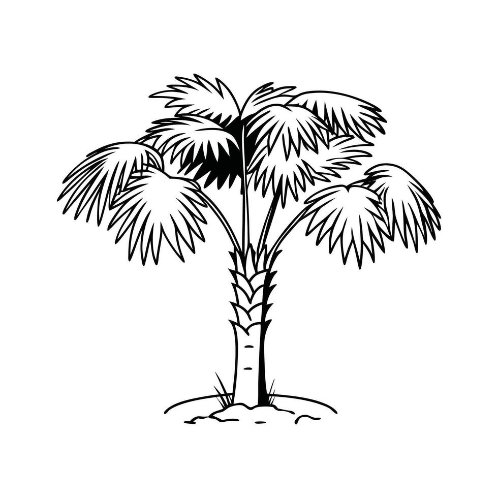 Unique Outline of Cabbage Tree Palm vector