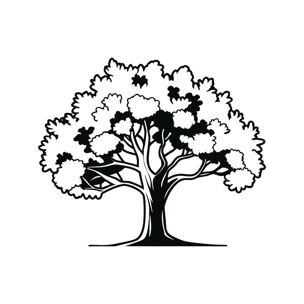 Stylized Outline of California Black Oak vector