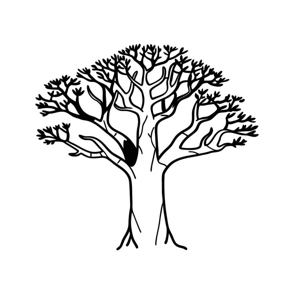 Stylized Outline of Corkwood Tree vector