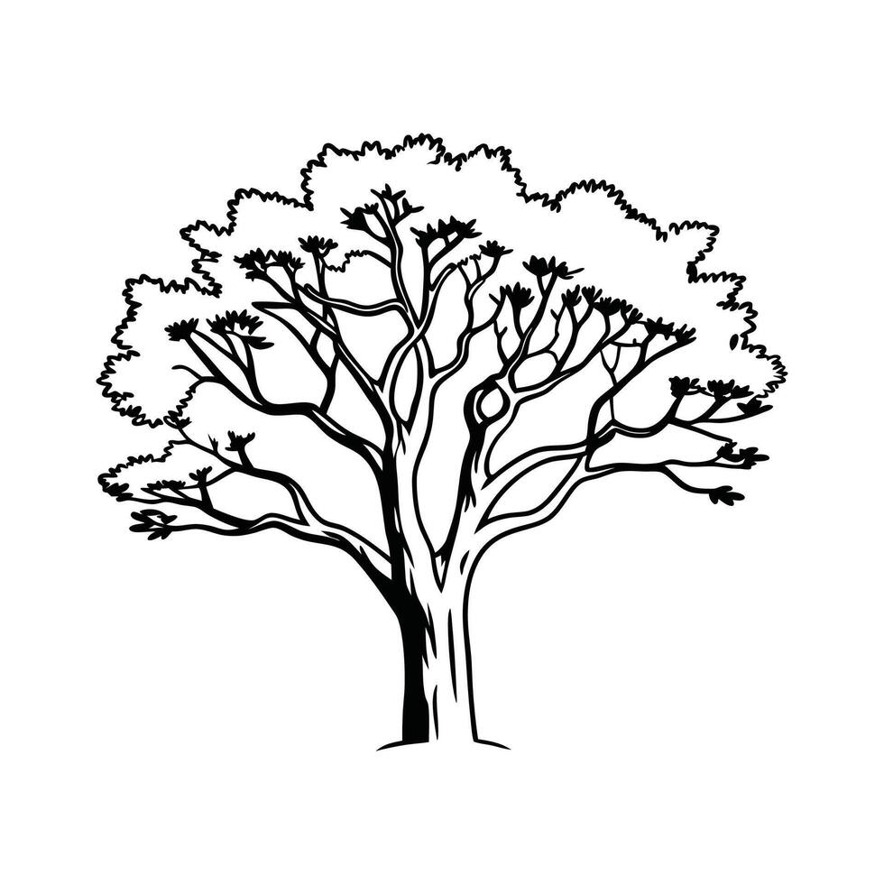 Stylized Outline of Desert Ironwood Tree vector
