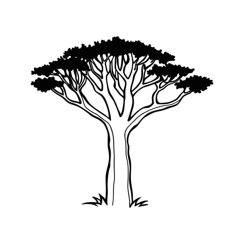 Unique Outline of Desert Ironwood Tree vector
