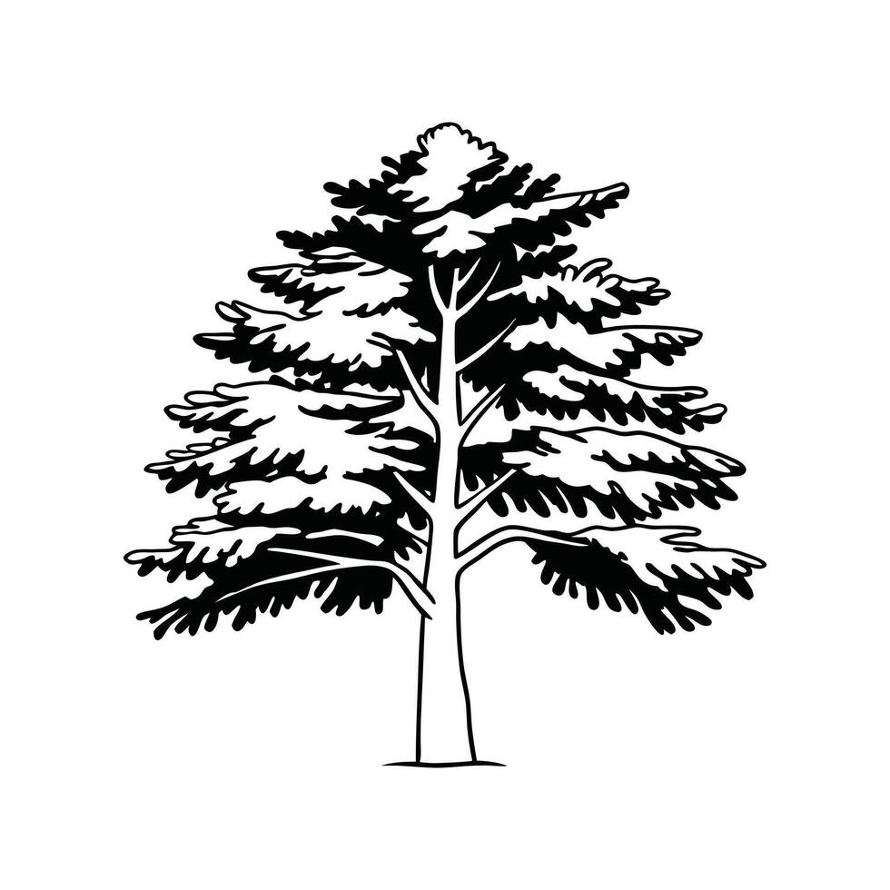 Stylized Outline of Eastern Hemlock Tree vector