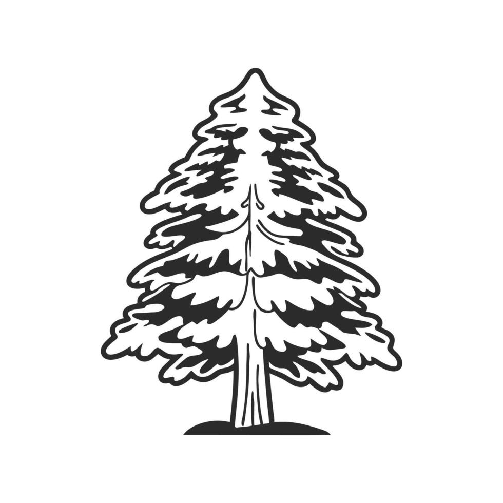 Unique Outline of Eastern Hemlock Tree vector
