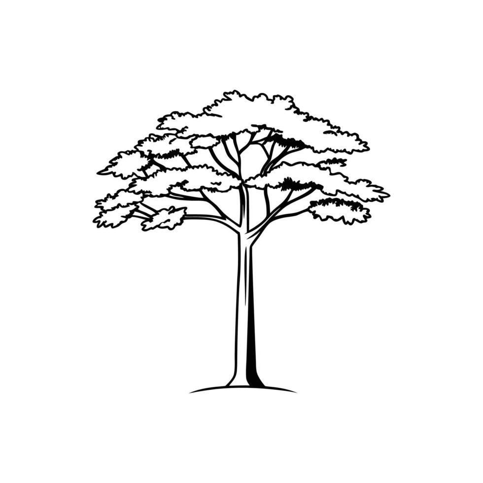 Florida Mahogany Tree Bold Outline Art vector
