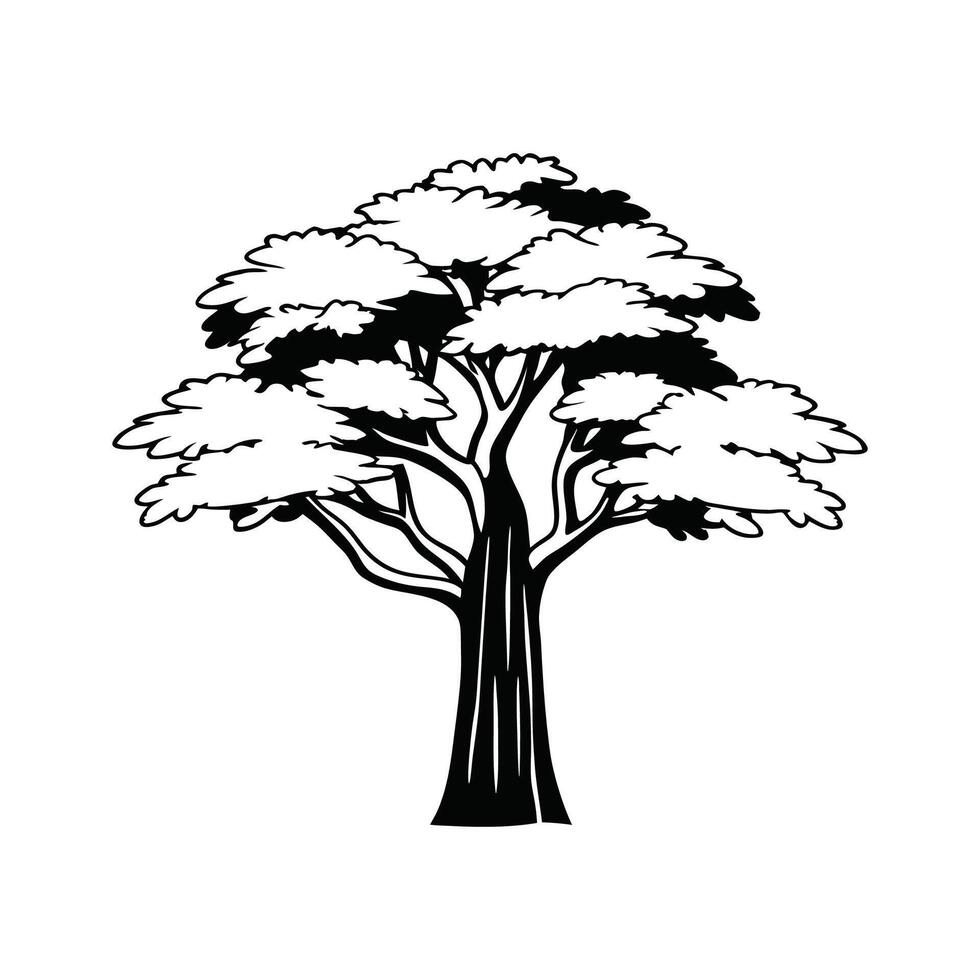 Unique Outline of Florida Mahogany Tree vector